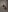 sweetyhunter 😶‍🌫️ Pic 2