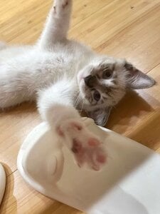 Gxhmelx-xiaoxiao 调皮捣蛋❤️ Pic 6