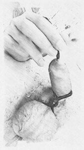 porkandtomatoes tomatoes Pic 5