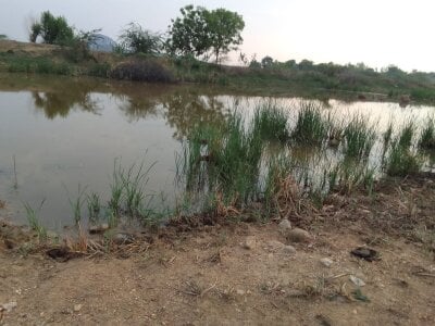 Public de Jyoti_telugu  3 Imagens