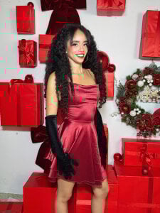 TerryGreenwood: Merry Christmas ( фото)