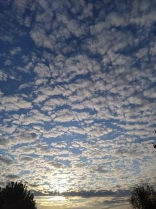 MinaMancilla aesthetic vibes Pic 5