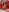 LauraaGomezz__ 💟EXCLUSIVE VALENTINE´S Pic 2