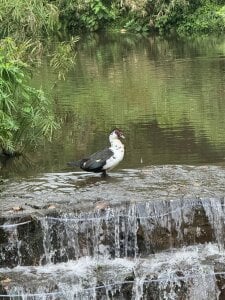 Ahri_Elderwood I want to share a little about my beautiful country and my vacations ❤️ Εικόνα 5