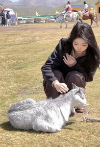 cdyyds003 悦悦 사진