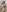 Asian_Asami Wet in the shower with foam 💦 Photo 2