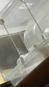 Naco_75のPublicの 5枚の写真