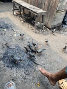 MR_nughty Dec:18 Foto 6