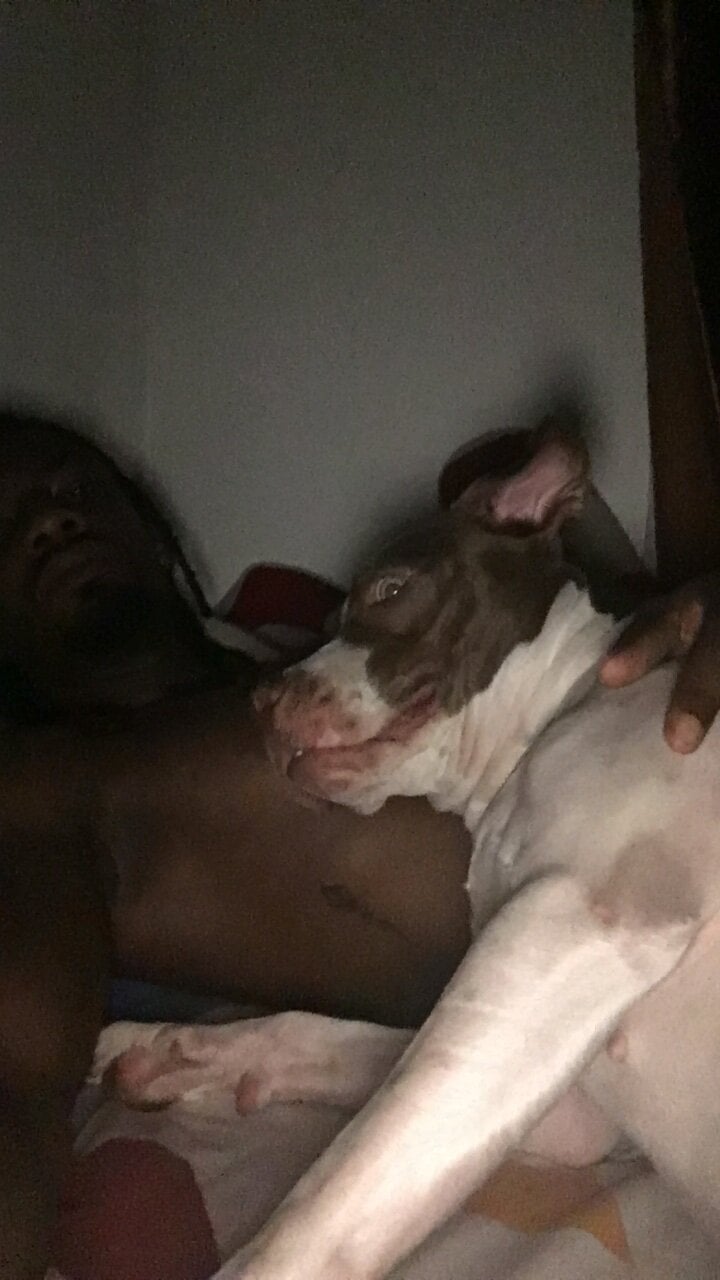 Malkon_Big Trendaava kuva 3718