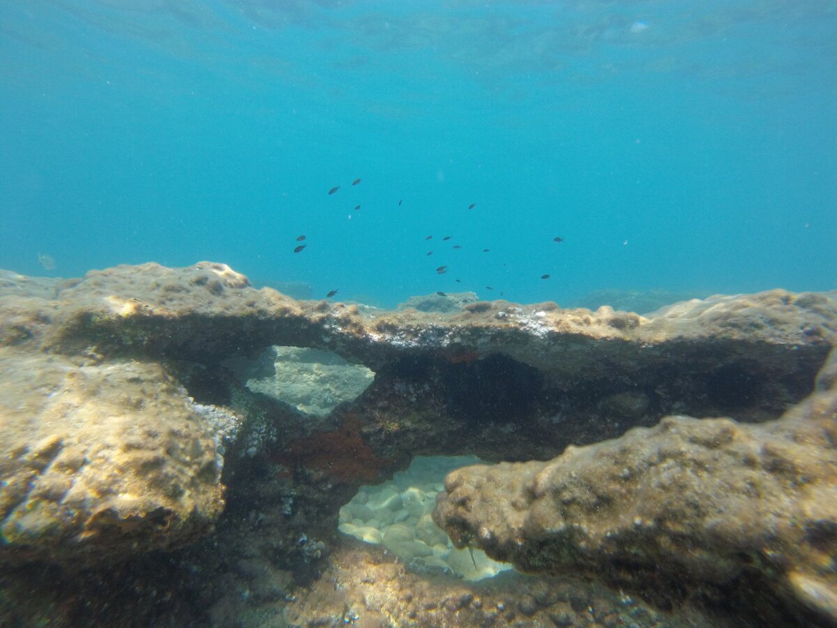 JSYMON Trendy obrázky 2161