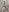 Gabriella_Hot_ New cute naked photos 🌸✨❤️‍🔥 Foto 