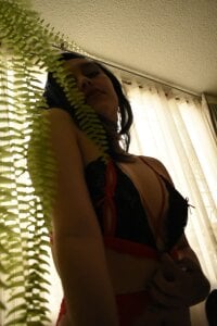 Public de amiranucifera  6 Imagens