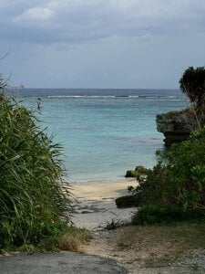 Zdjęcia tsukuyomityan1 Public:  5