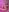 AdelineGoddess naked kitty 사진 8
