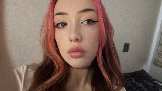 MollysLand Public รูป  4