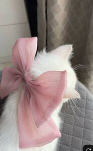 AmeliaMiles Public Hình 5