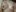 hot_momtobe Pregnant + naked Foto  6