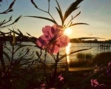 HOT_LATINA20のGirl😜の枚の写真