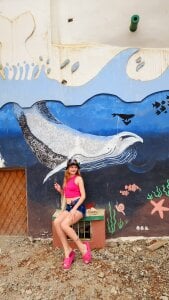 Vanessa_Norris 🐬🐬🐬 Pic 2