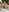 SofiaAdamsMasturbation in public照片 7