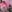 spundarella420Booty shots- The Continuation照片