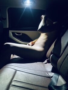 INCOGNITOSTAR_ Atheistic 圖片