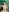 Mr_evan1 Naked and with a hard cock in green color 사진