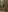 you_desire Light erotica in the forest Pic 5