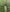 RussNocturnal Forest nudes 🍀🍀 Pic 4