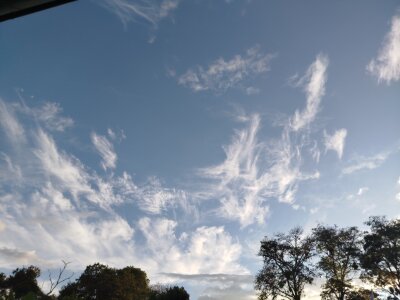 317076 David . fénykép