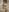 Coconut_Mia Gently Naked Body Pic 2