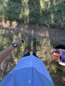 grinbergg 🎯 зображення 5