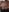 vixendoll87: Love my titties 👅👅 ( 3 фото)