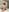 School_Teachのtitsの 2枚の写真