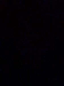 Davisuarez Public Pic 5