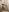 DanikaDillan Nudes Photo 4