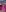 Lossexycacha fuchsia Photo