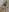 Lollipop_GirlsLengerie照片 5