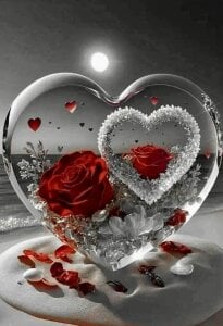 Public de ShyTiny  4 photos