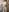 brendacom Nudes 🤭🔞 Pic 7