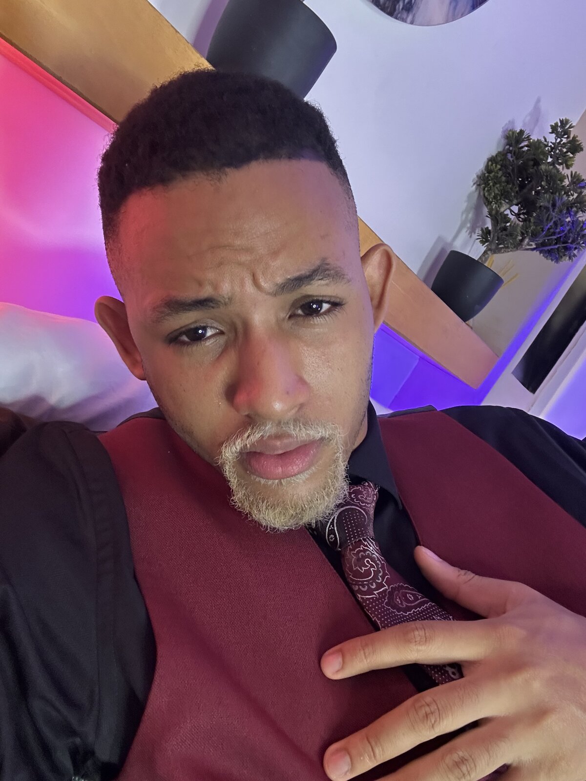 B_Wild  2361. kiemelt képe