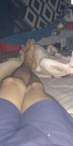 orgullomoreno GFVAXN5 Pic 7