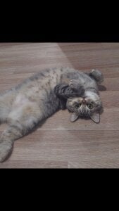 MelissaMays 💋 Pic 2