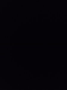 branquelopicudo7772 Bild 2