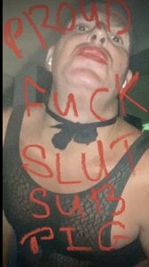 Sissyslavecunt Subsissyboy зображення