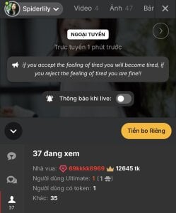 SpiderIily Beacon 사진 8