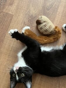 Zdjęcia alicefloww Quiet company:  8