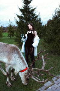 AliceLiddelle Christmas!  3. fénykép