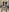catherinecan69 Bodystocking ppv Pic 6