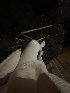 WetMeowwLive Photo 🎥 Bild 8